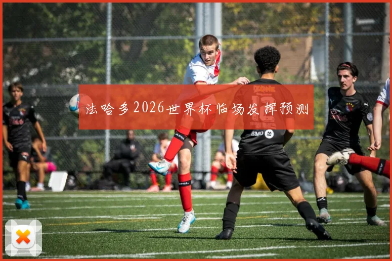 法哈多2026世界杯临场发挥预测