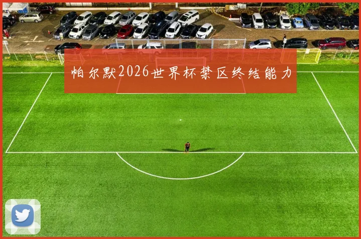 帕尔默2026世界杯禁区终结能力