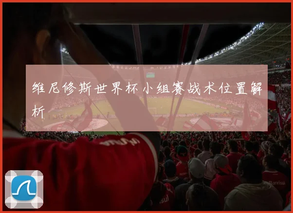 维尼修斯世界杯小组赛战术位置解析