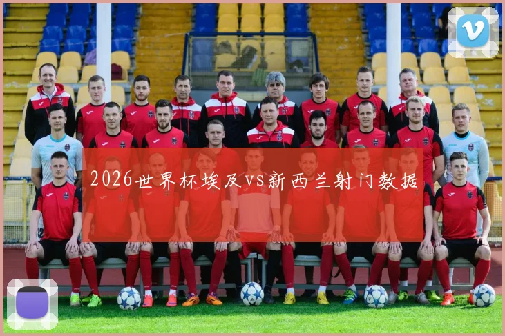 2026世界杯埃及vs新西兰射门数据