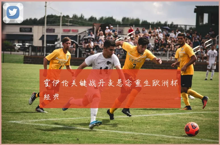 霍伊伦关键战丹麦悬念重生欧洲杯经典