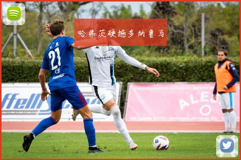 哈弗茨硬撼多纳鲁马