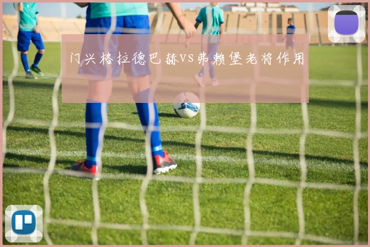 门兴格拉德巴赫vs弗赖堡老将作用