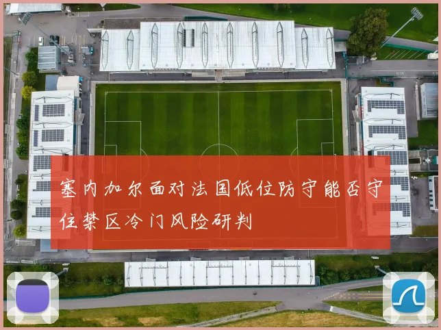 塞内加尔面对法国低位防守能否守住禁区冷门风险研判
