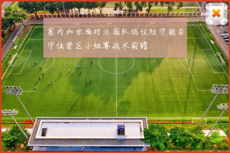 塞内加尔面对法国队低位防守能否守住禁区小组赛战术前瞻