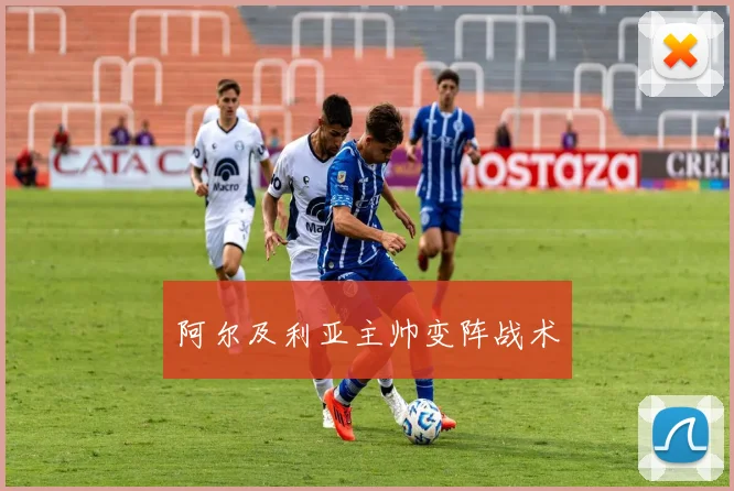 阿尔及利亚主帅变阵战术