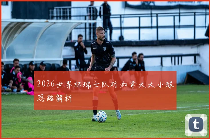 2026世界杯瑞士队对加拿大大小球思路解析