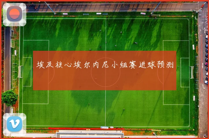 埃及核心埃尔内尼小组赛进球预测