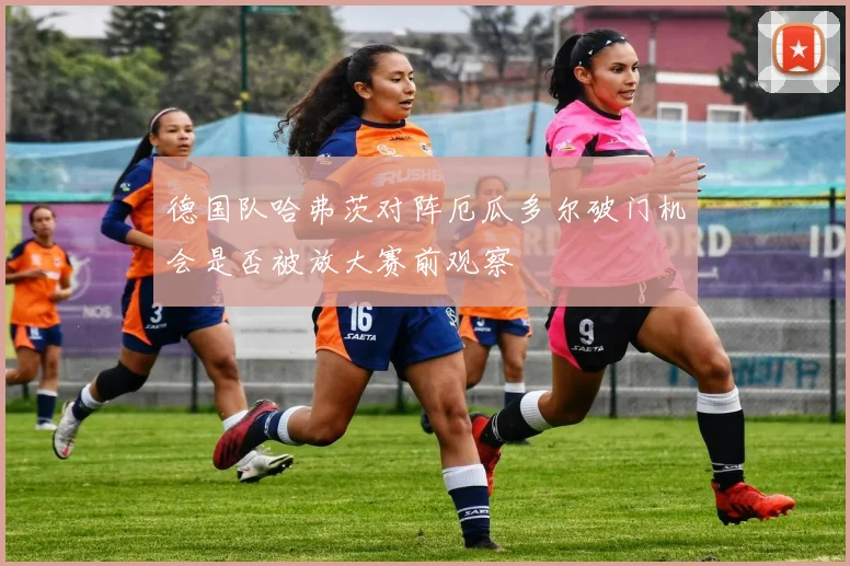 德国队哈弗茨对阵厄瓜多尔破门机会是否被放大赛前观察
