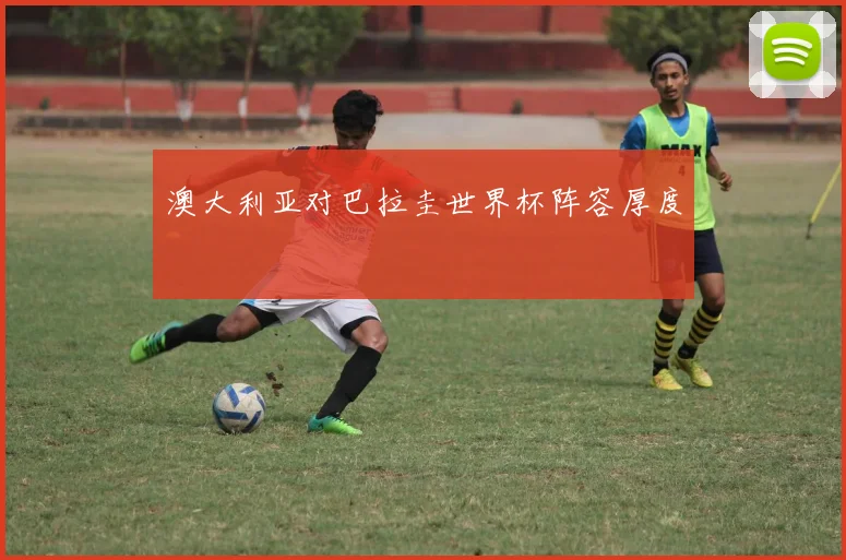 澳大利亚对巴拉圭世界杯阵容厚度
