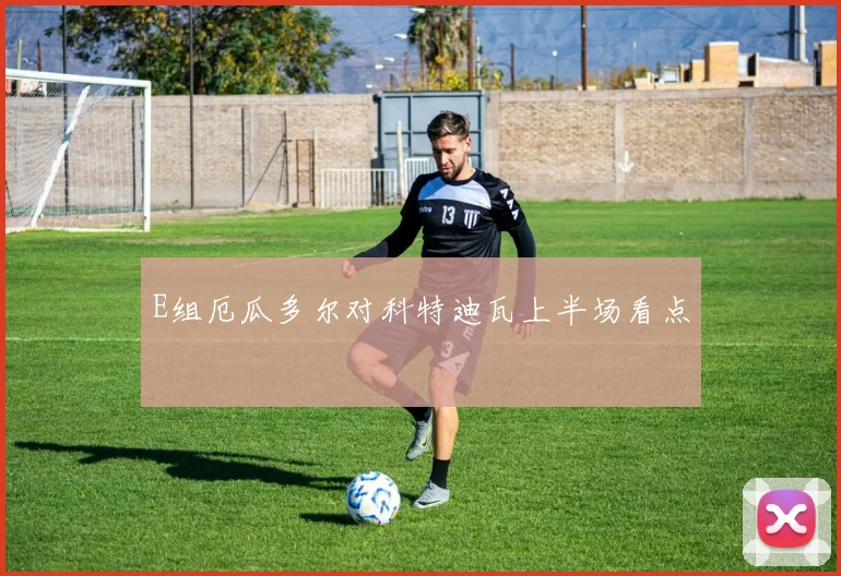 E组厄瓜多尔对科特迪瓦上半场看点