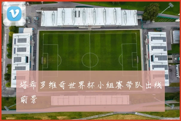 塔希罗维奇世界杯小组赛带队出线前景