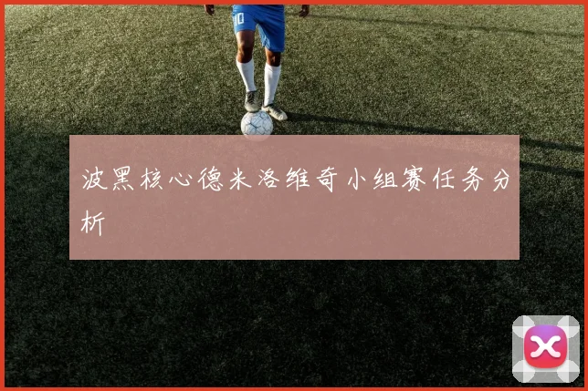 波黑核心德米洛维奇小组赛任务分析